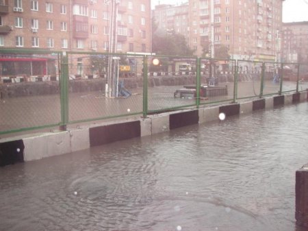 Сокол утонул (5 фото)