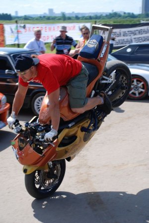 Выставка АвтоЭкзотика 2009 (33 фото)