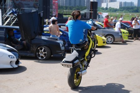 Выставка АвтоЭкзотика 2009 (33 фото)