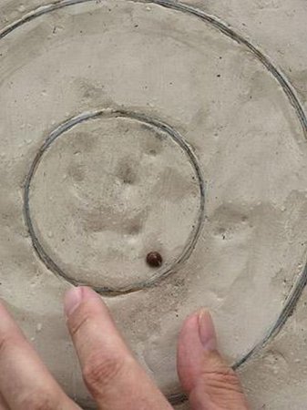 Плевковый чемпионат (11 фото)