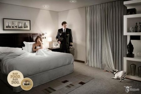 Реклама собачьего корма