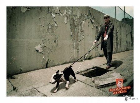 Реклама собачьего корма