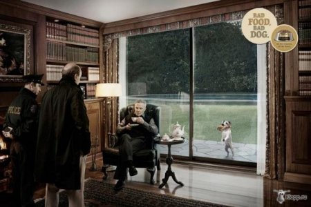 Реклама собачьего корма