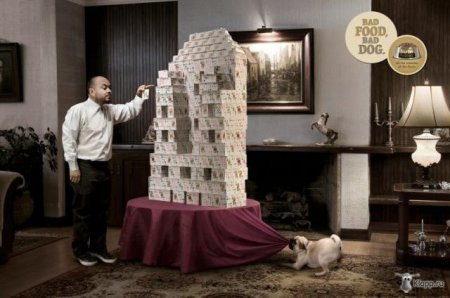 Реклама собачьего корма