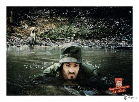 Реклама собачьего корма