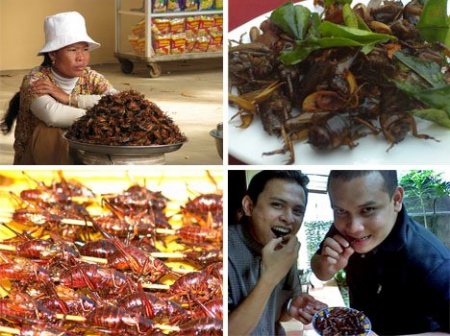 Еда бывает и такой (11 фото)