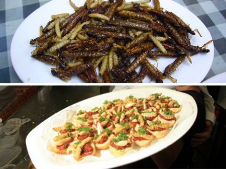 Еда бывает и такой (11 фото)