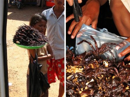 Еда бывает и такой (11 фото)