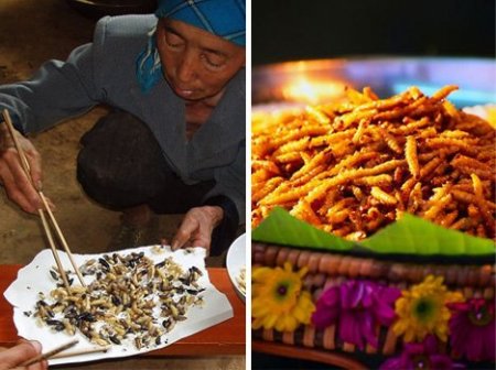 Еда бывает и такой (11 фото)