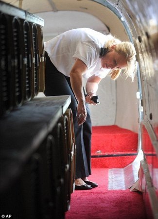 Собачий самолет (4 фото)