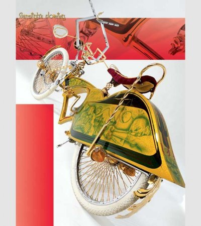 Прокачанные велики (13 фото)