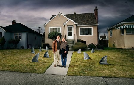 Работы студии The Orange Apple