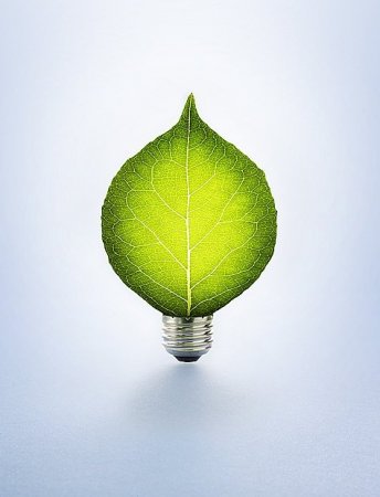 Работы студии The Orange Apple