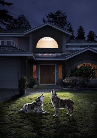 Работы студии The Orange Apple