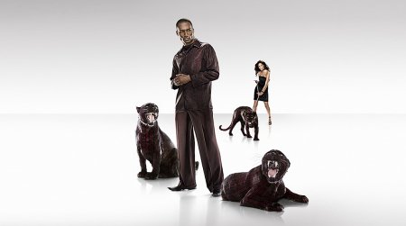 Работы студии The Orange Apple. Часть 2