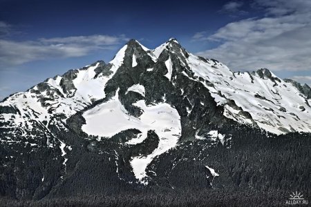 Работы студии The Orange Apple. Часть 2