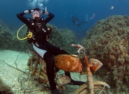 Прикольные картинки