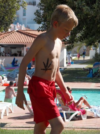 Прикольные картинки