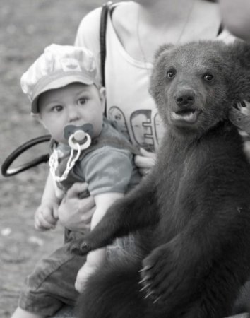 Прикольные картинки