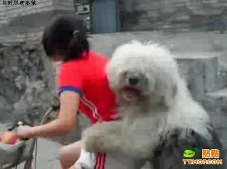 Странный попутчик (6 фото)