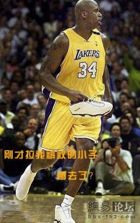 Смешной баскетболл (47 фото)