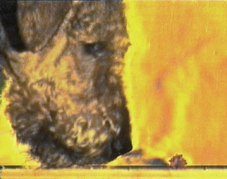 Невидимое (9 фото)