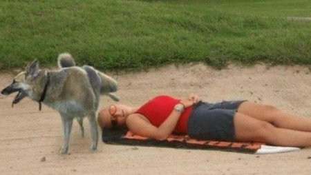 Смешные животные (21 фото)