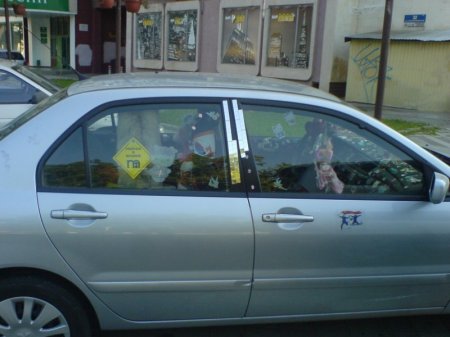 Кисо-мобиль (5 фото)