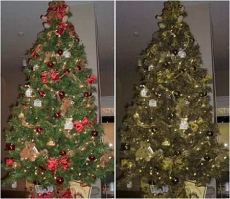 А вы случайно не дальтоник (12 фото)