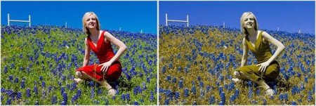 А вы случайно не дальтоник (12 фото)