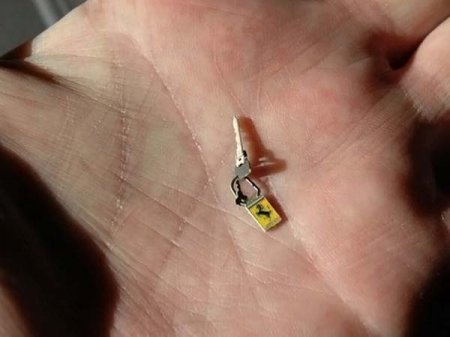 Точная копия Ferrari F40 в миниатюре (45 фото)