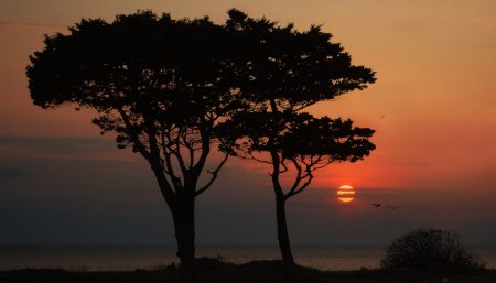 Пейзажи от Яны Гайворонской