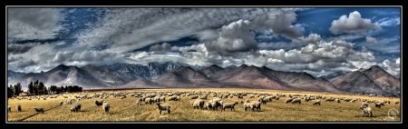 Фотоработы от Jake