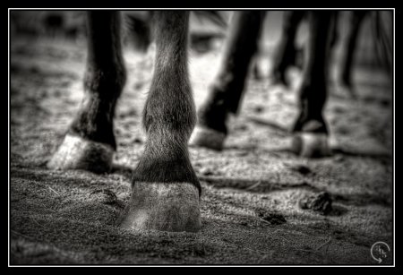 Фотоработы от Jake