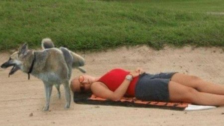 Забавные зверушки