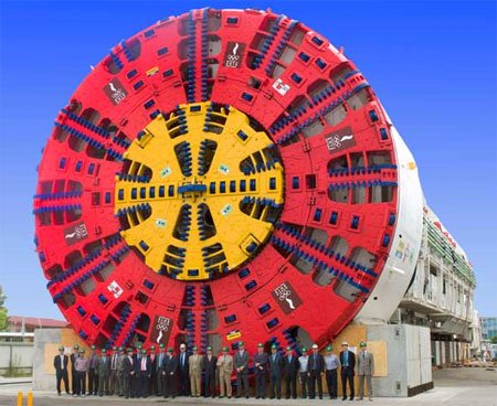 Землеройка (4 фото)