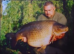 Рыба по имени Бенсон (4 фото)