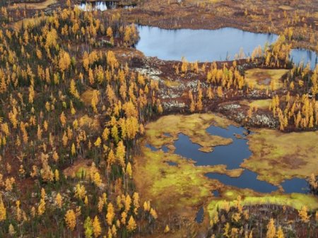 Глобальное потепление глазами здравого смысла (22 фото + текст)