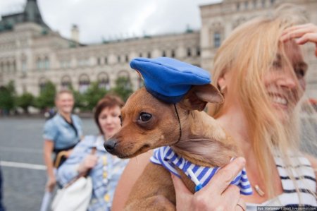 День ВДВ (24 фото)