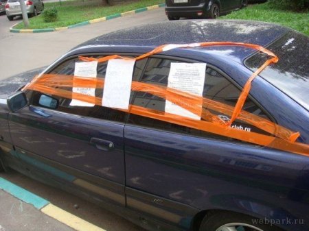 Достала сигналка (5 фото)