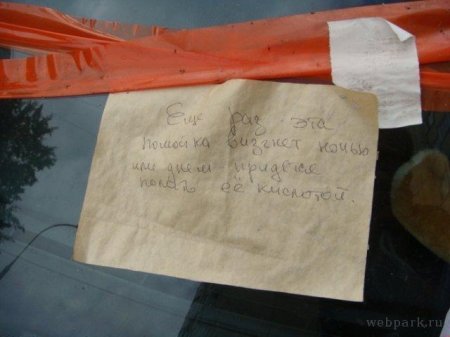 Достала сигналка (5 фото)