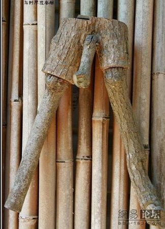 Оригинальные вывески (3 фото)