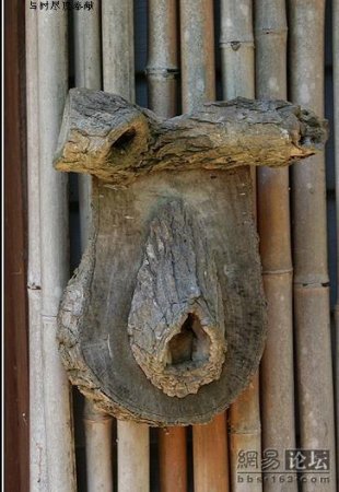 Оригинальные вывески (3 фото)