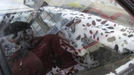 Машина-долматинец (2 фото)