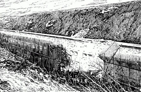 Атака мертвецов (5 фото + текст)