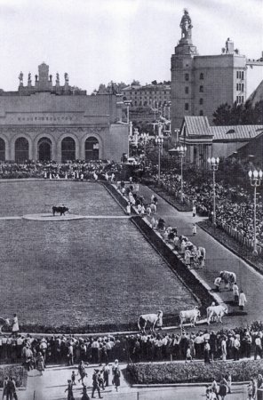 ВСНХ-ВДНХ ВВЦ - 70 лет (12 фото)