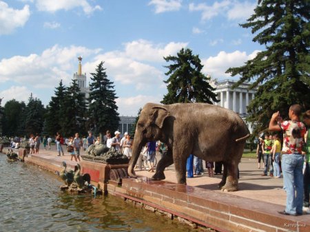 ВСНХ-ВДНХ ВВЦ - 70 лет (12 фото)