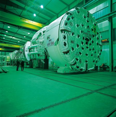 Землеройка (4 фото)