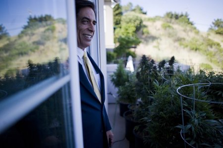 Легализация марихуаны (16 фото)