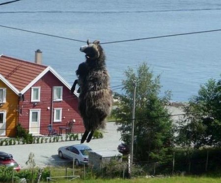 Загадка дня (3 фото)